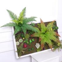 uploads/erp/collection/images/Home Garden/CongDing/XU0610798/img_b/XU0610798_img_b_2